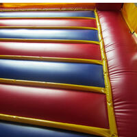 inflatable bouncer slide pool comboGL149