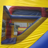 Combination of bouncerGB490