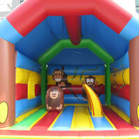 Inflatable BouncerGB471