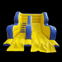 Giant Inflatable Water Slides For Sale