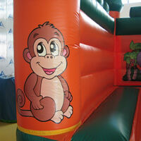 inflatable bouncer castleGL165
