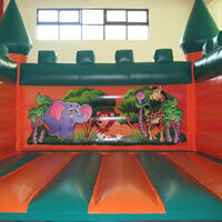 inflatable bouncer castleGL165