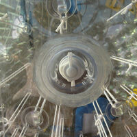 Transparent inflatable grass ballGH072