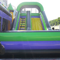 Purple Inflatable Bounce Slide CombinationGB495