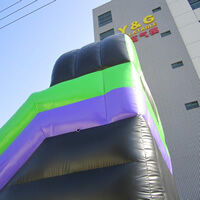 Purple Inflatable Bounce Slide CombinationGB495