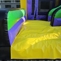 Purple Inflatable Bounce Slide CombinationGB495
