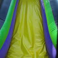 Purple Inflatable Bounce Slide CombinationGB495