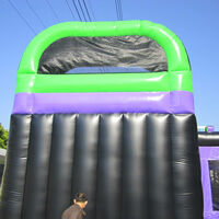 Purple Inflatable Bounce Slide CombinationGB495