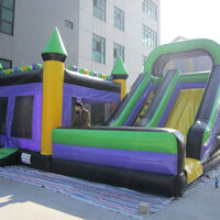 Purple Inflatable Bounce Slide CombinationGB495