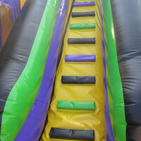 Purple Inflatable Bounce Slide CombinationGB495