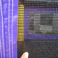 Purple Inflatable Bounce Slide CombinationGB495