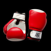 Red boxing gloves