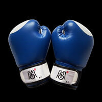 Blue boxing gloves