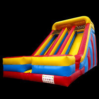 Inflatable Pool Slide For Adults