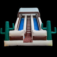 Cactus Jump And Slide Bouncer