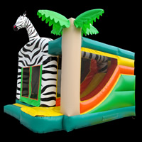 Zebra Bounce House Birthday Party