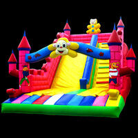 fun inflatable lake slide