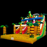 Commercial Inflatable Water Slides