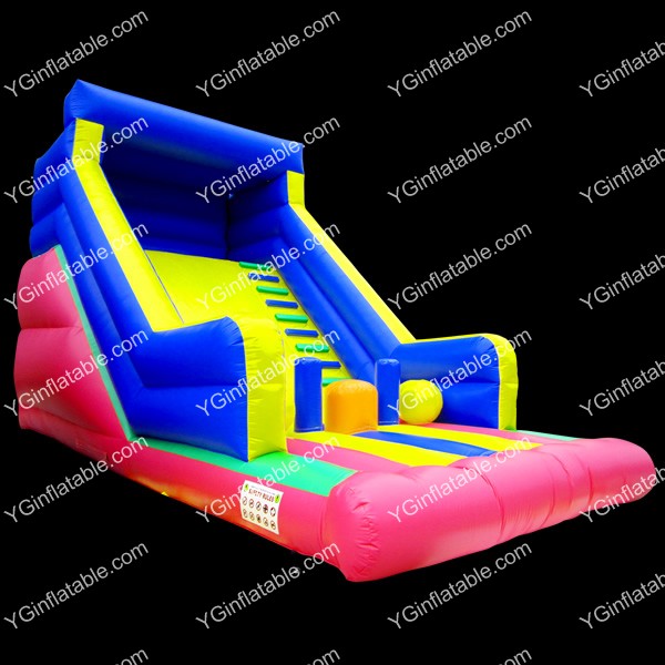 Giant Inflatable Slide For KidsGI151