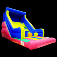 Giant Inflatable Slide For Kids