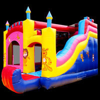 princess bouncy castle with slide