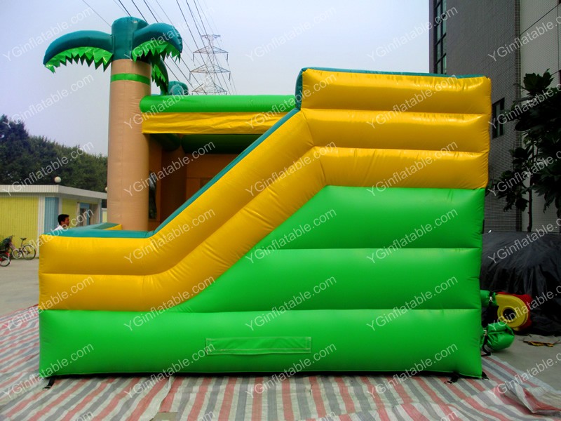 Coco Water Slide Bounce HouseGB526