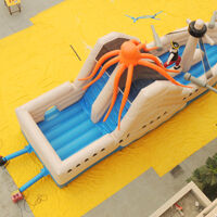 GB406Pirate Octopus Bouncer Pirate Octopus BouncerGB406