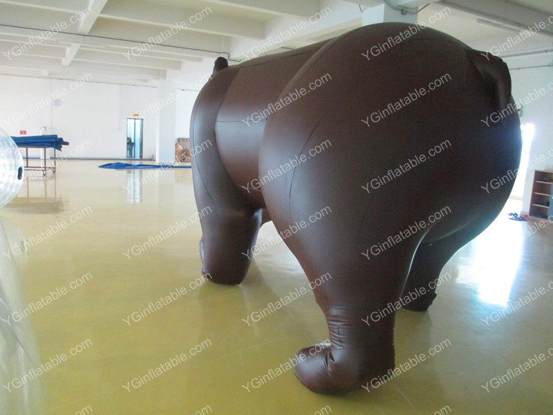 Inflatable launch BearGO063