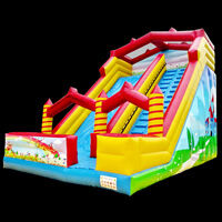 Blow up water slide for sale