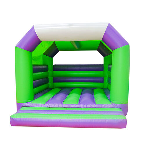 Inflatable Purple Green Bounce House