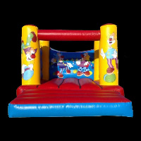 Bounce House Combo For Sale