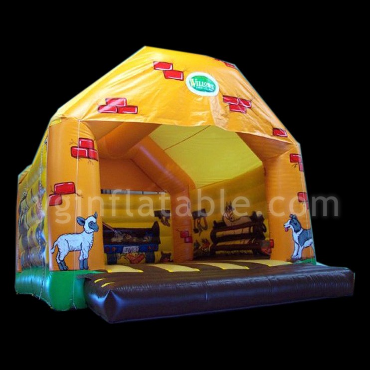 inflatable bouncers slidesGB249