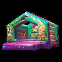 Moon Bounce For Sale