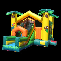 Bounce House With Slide Combo For Sale