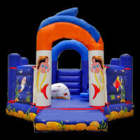 Inflatable Bounce House With Slide