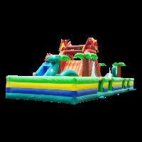 Indoor Inflatable Park