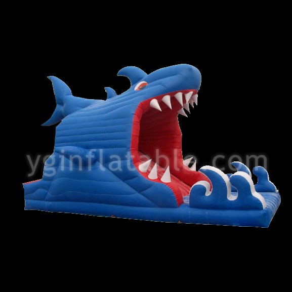 Inflatable Water SlideGI019