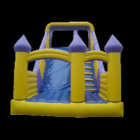 Adult Blow Up Water Slide