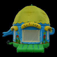 Jump And Slide Bouncer