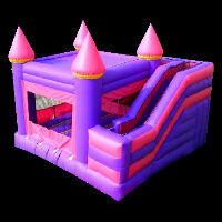 Bounce House With Slide Inside