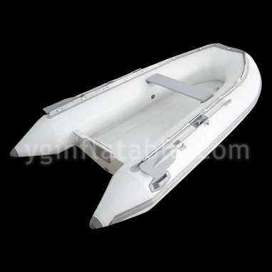 Inflatable Boat With MotorGT030