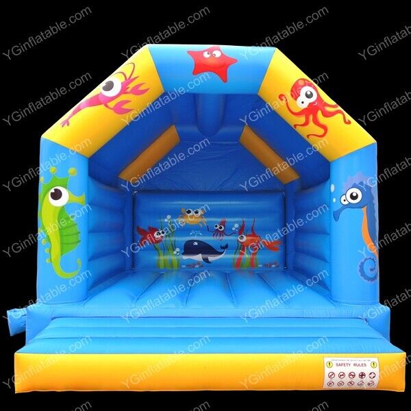 Ocean Castle Bounce HouseGB545