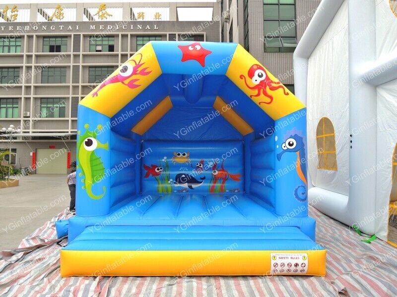 Ocean Castle Bounce HouseGB545