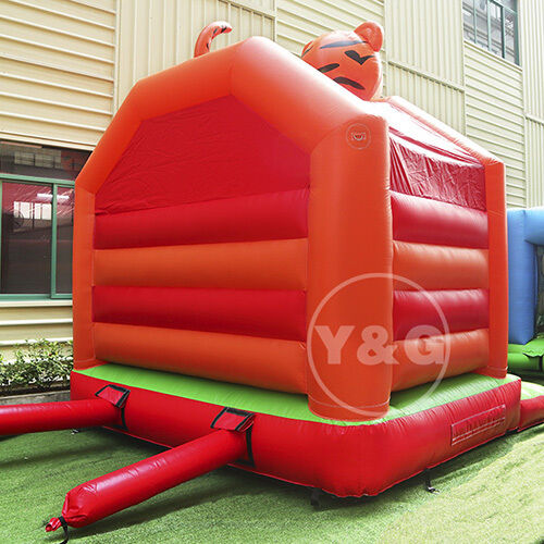 Little Tikes BouncerYGB10